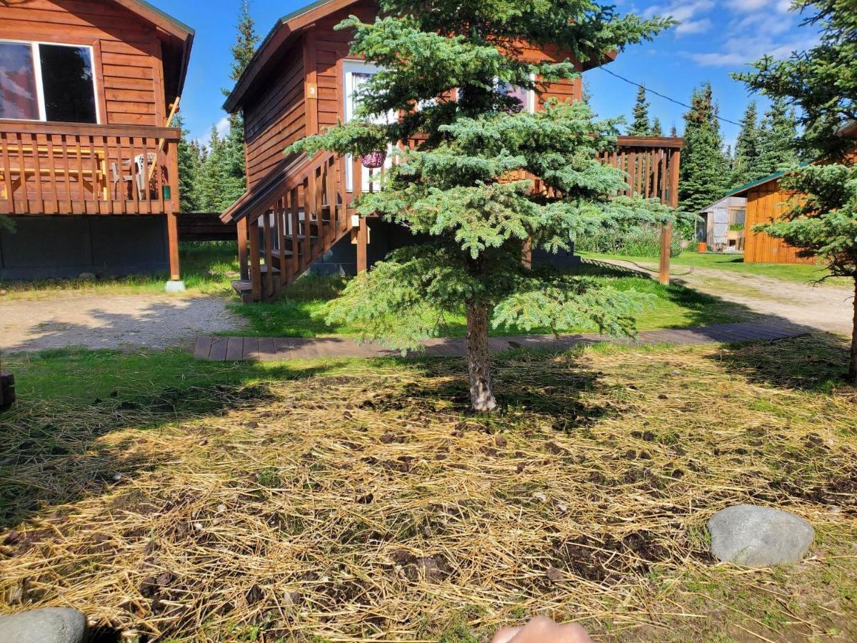 Denali'S Alaskan Spruce Cabins Хили Экстерьер фото