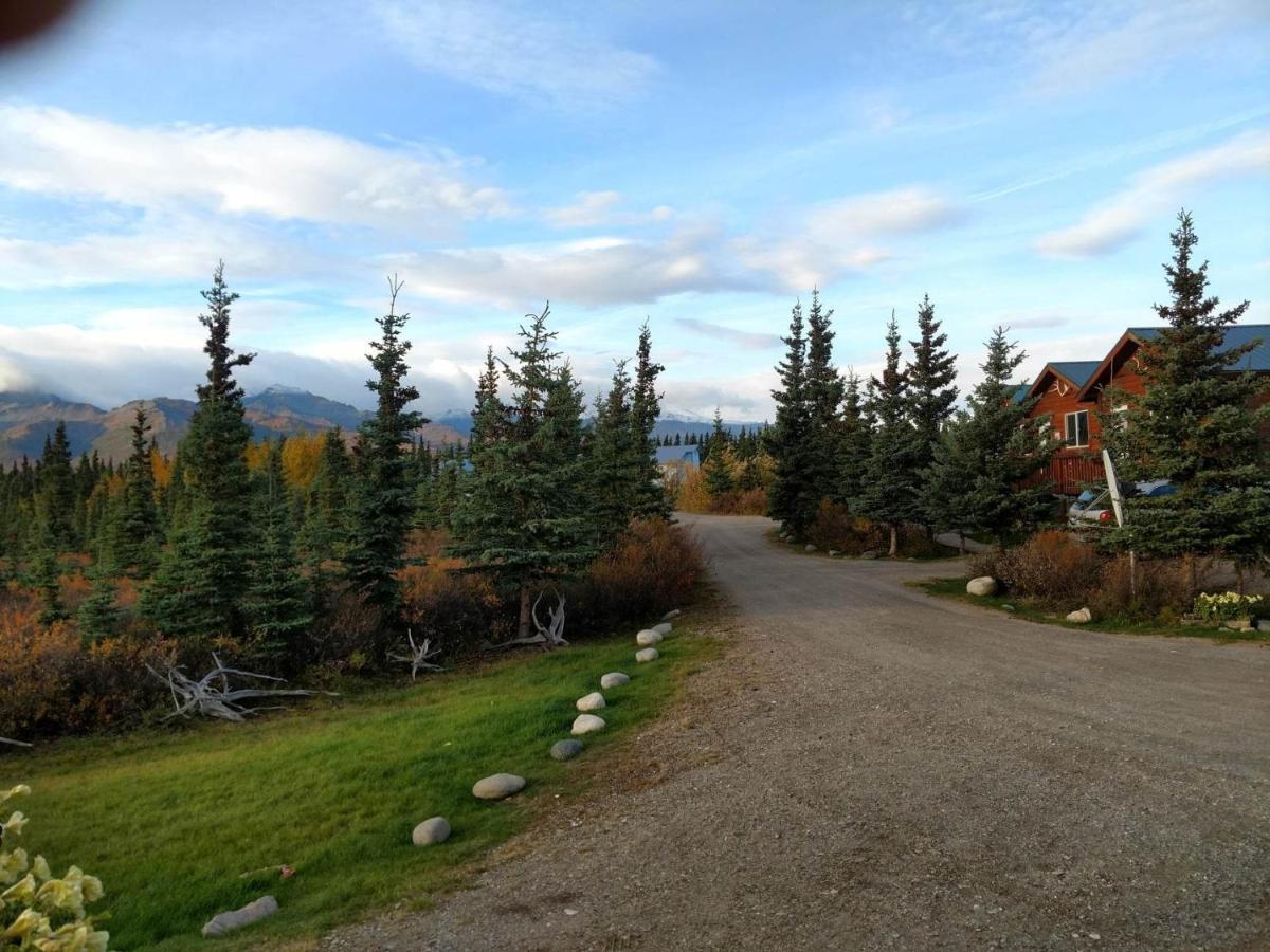 Denali'S Alaskan Spruce Cabins Хили Экстерьер фото