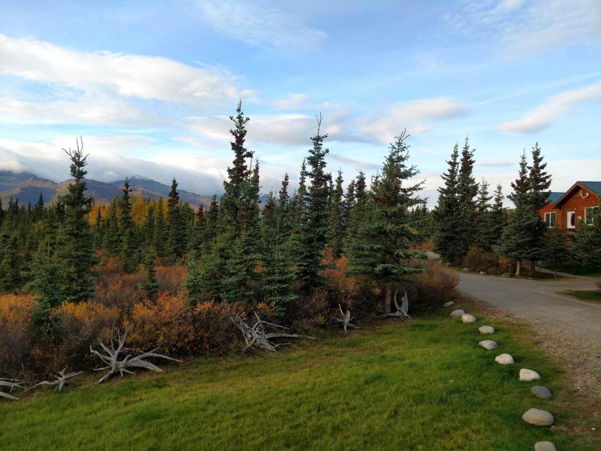 Denali'S Alaskan Spruce Cabins Хили Экстерьер фото