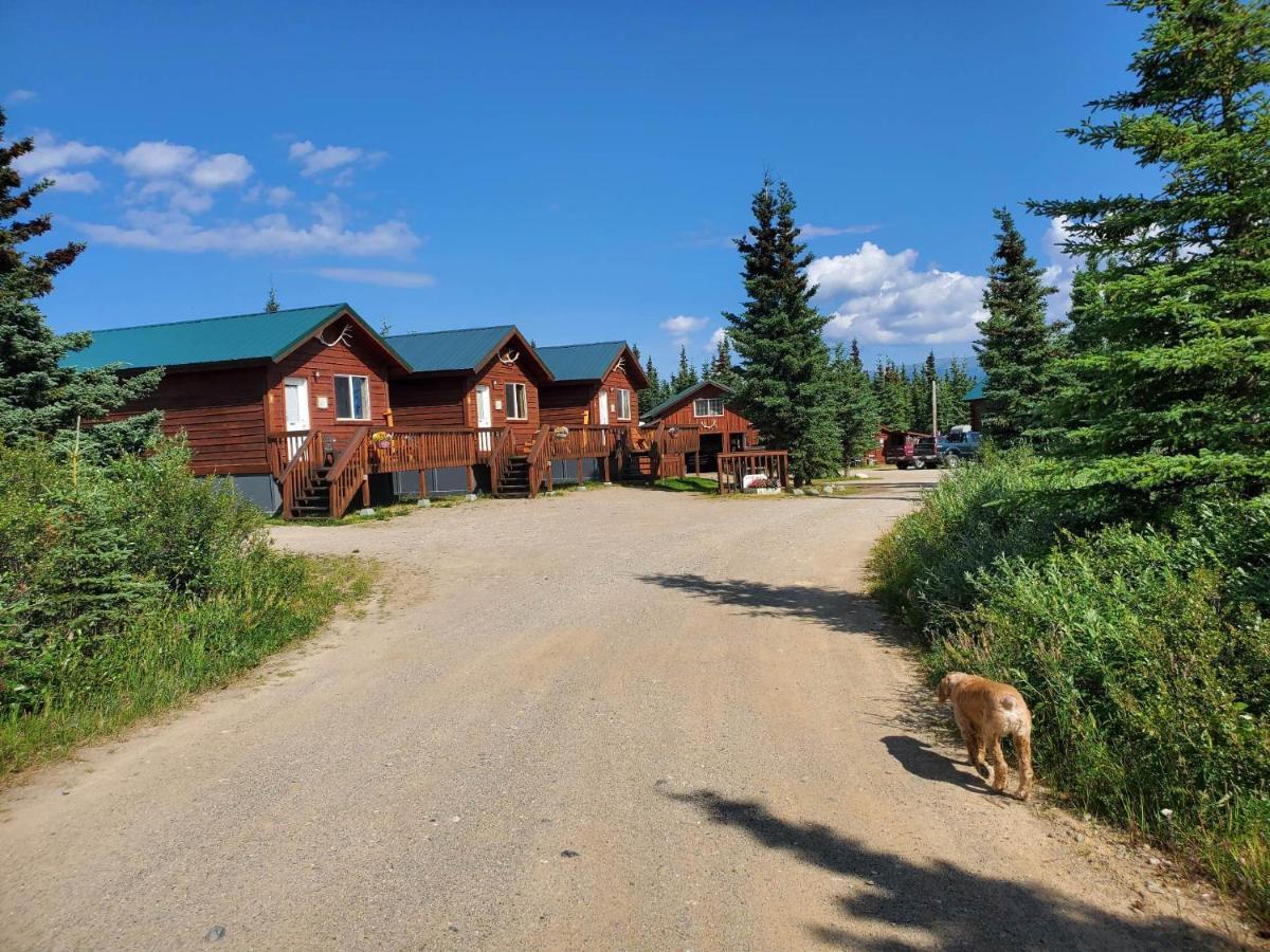 Denali'S Alaskan Spruce Cabins Хили Экстерьер фото