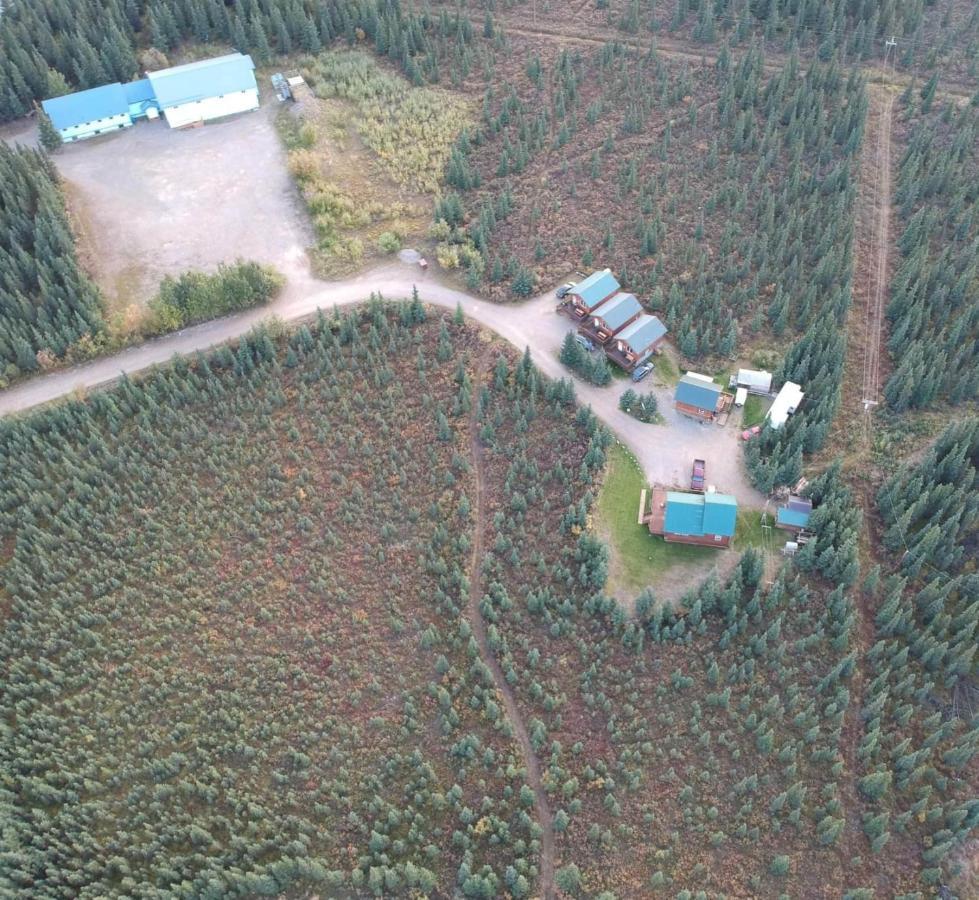 Denali'S Alaskan Spruce Cabins Хили Экстерьер фото