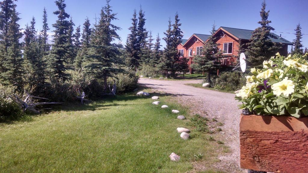 Denali'S Alaskan Spruce Cabins Хили Экстерьер фото