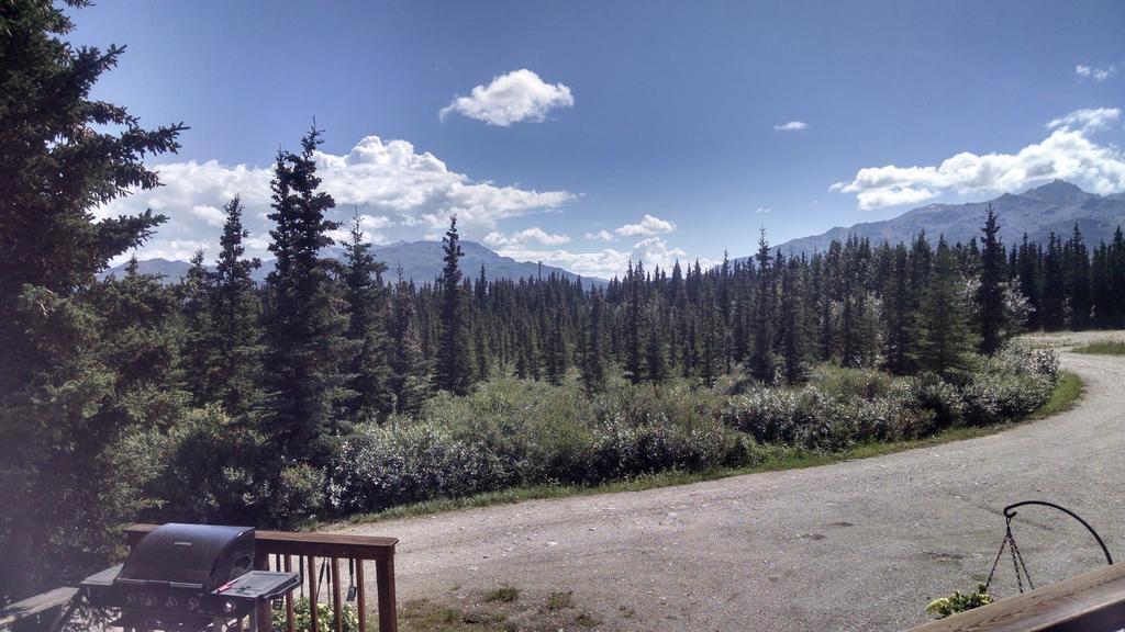 Denali'S Alaskan Spruce Cabins Хили Экстерьер фото